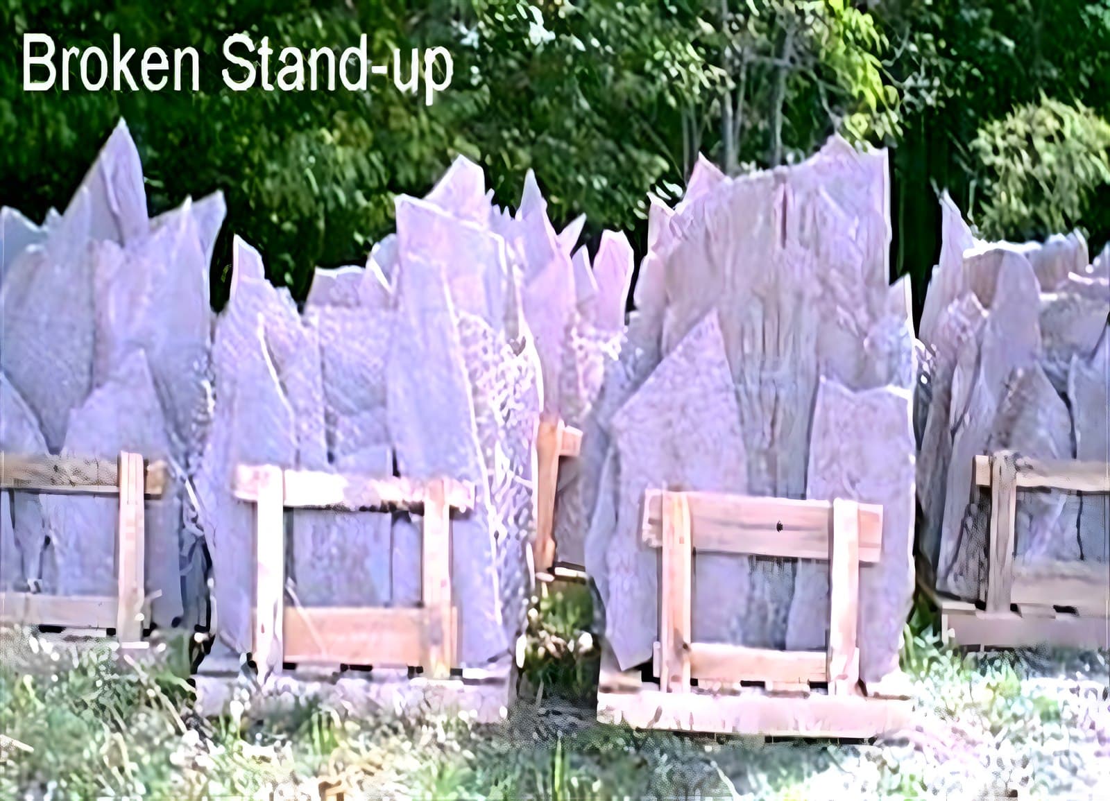 Broken stand-up lilac lavender stone Pennsylvania
