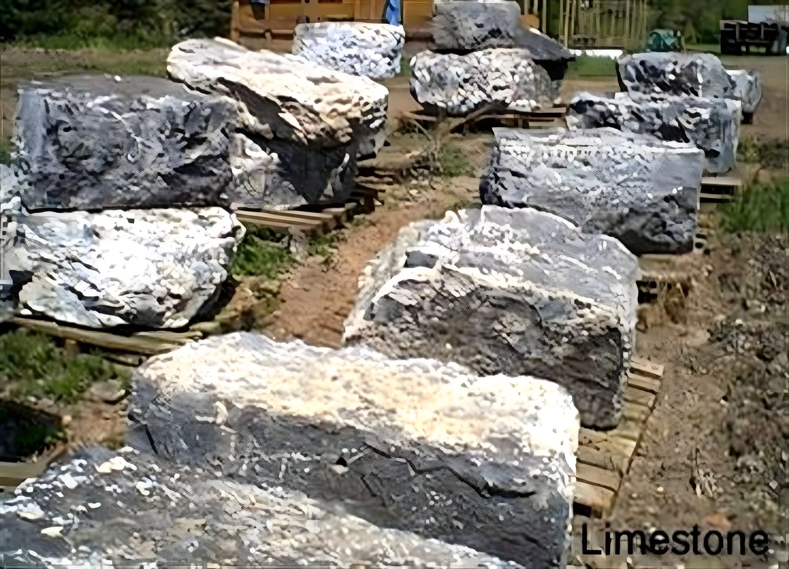 Large limestone boulders