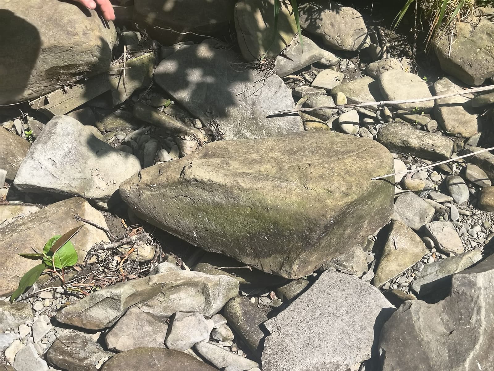 Creek stone at the source — Bradford County waterway